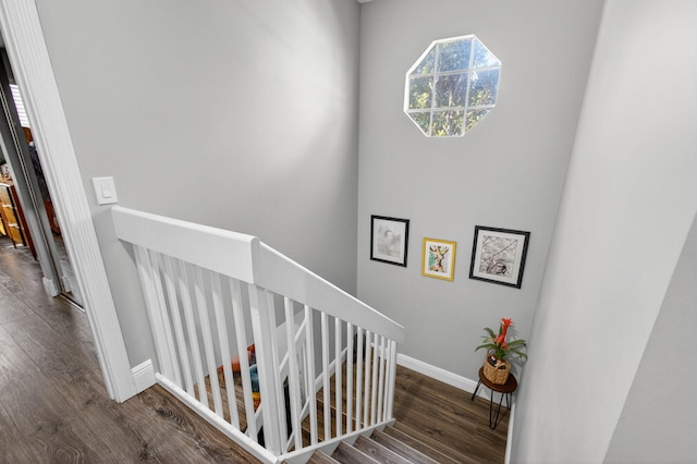 274 Murray Ct, Jupiter, FL 33458 - stairway with wood finished floors and baseboards