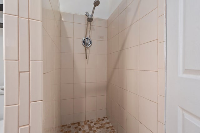 5203 S Indian River Dr, Fort Pierce, FL 34982 - full bathroom with tiled shower