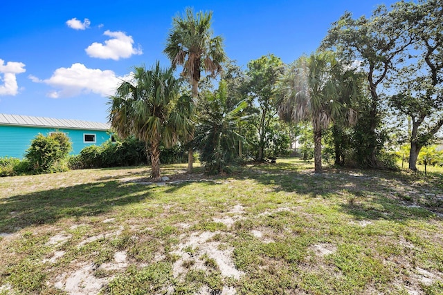 5203 S Indian River Dr, Fort Pierce, FL 34982 - view of green lawn