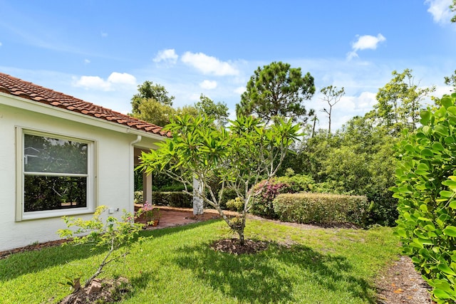 879 SW Pebble Ln, Palm City, FL 34990 - view of green lawn