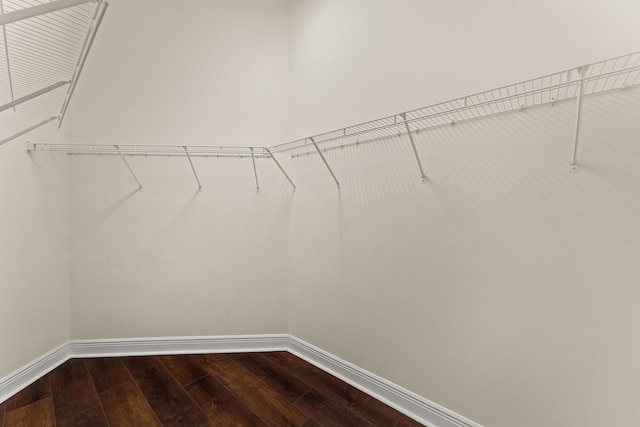 879 SW Pebble Ln, Palm City, FL 34990 - walk in closet featuring dark wood-type flooring