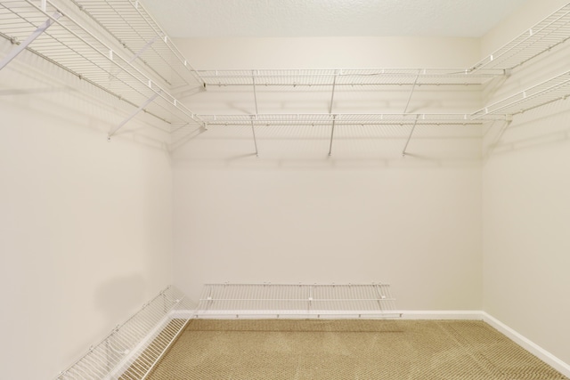 1466 Artimino Ln, Boynton Beach, FL 33436 - walk in closet with carpet