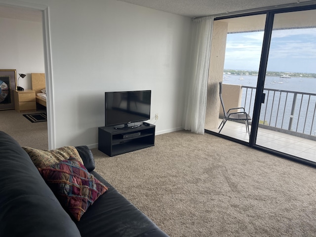 5200 N Flagler Dr Unit 1106, West Palm Beach, FL 33407 - living room with expansive windows, carpet floors, and a textured ceiling