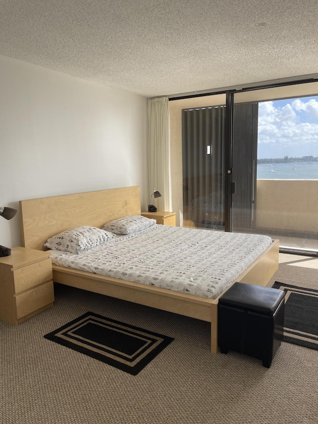 5200 N Flagler Dr Unit 1106, West Palm Beach, FL 33407 - bedroom with a textured ceiling and carpet flooring