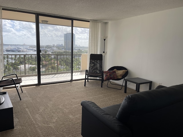 5200 N Flagler Dr Unit 1106, West Palm Beach, FL 33407 - carpeted living room with a wall of windows, a textured ceiling, and a city view