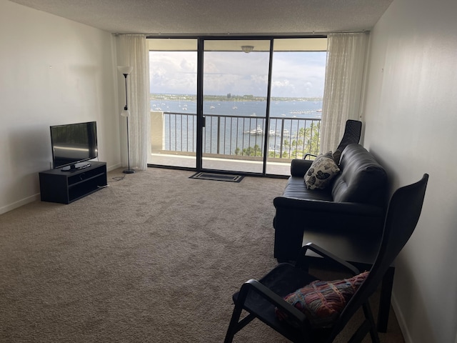 5200 N Flagler Dr Unit 1106, West Palm Beach, FL 33407 - living area with a wall of windows and carpet flooring