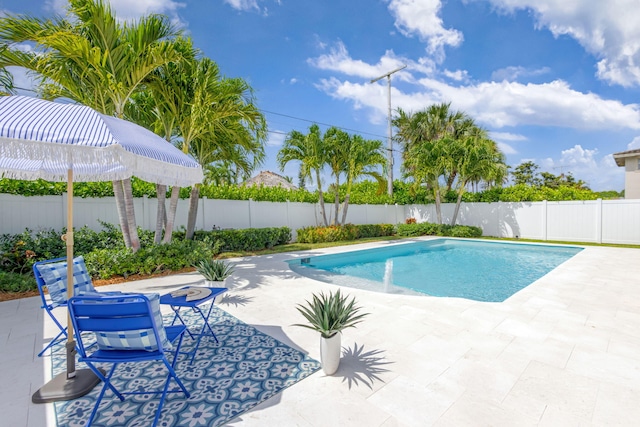 131 Cruiser Rd S, North Palm Beach, FL 33408 - view of pool featuring a patio and a fenced backyard