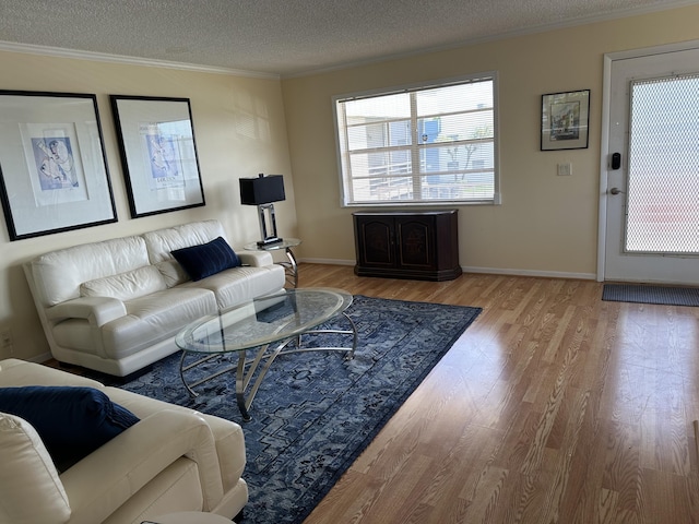 313 Normandy Unit G, Delray Beach, FL 33484 - living area with wood finished floors, crown molding, and a textured ceiling