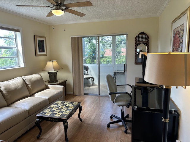 313 Normandy Unit G, Delray Beach, FL 33484 - office with wood finished floors, a ceiling fan, a textured ceiling, and crown molding