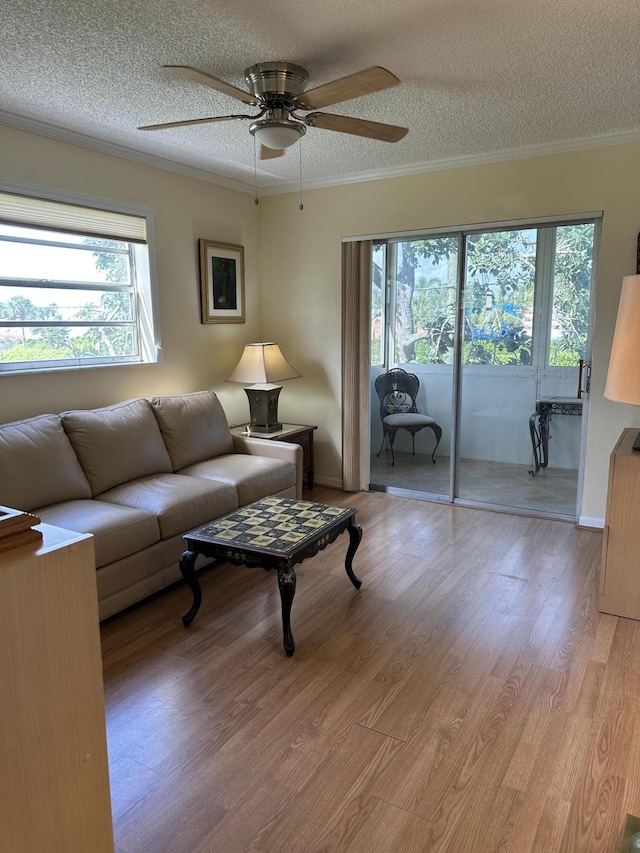 313 Normandy Unit G, Delray Beach, FL 33484 - living area featuring a textured ceiling, a ceiling fan, light wood finished floors, and crown molding