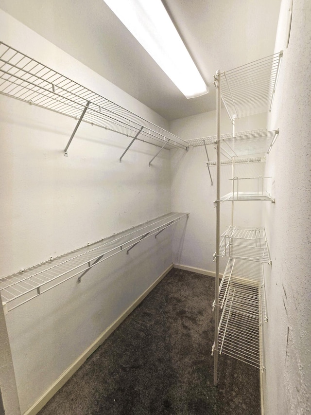 89 Saxony B B, Delray Beach, FL 33446 - walk in closet with carpet