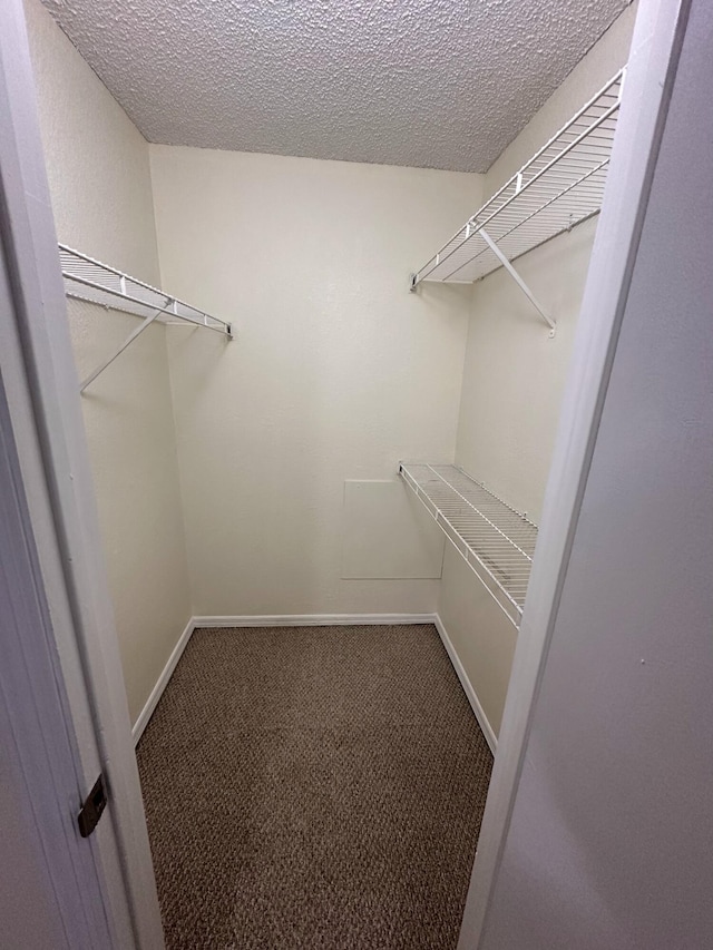 1401 Village Blvd Unit 1914, West Palm Beach, FL 33409 - walk in closet featuring carpet flooring