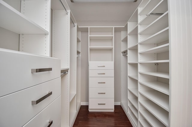 21734 San Simeon Cir, Boca Raton, FL 33433 - walk in closet featuring dark wood-style flooring