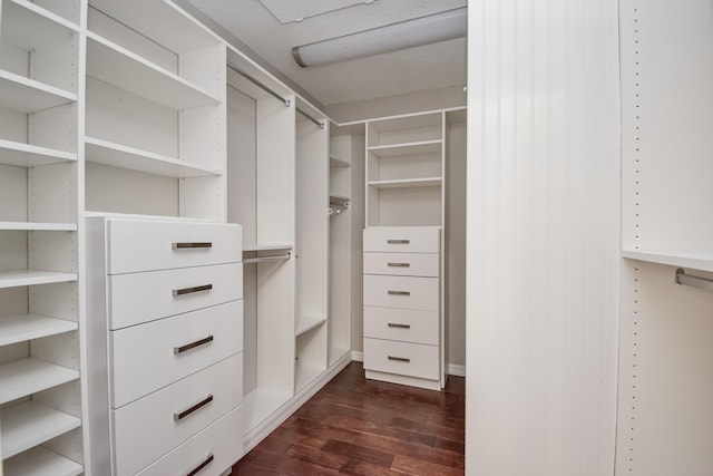 21734 San Simeon Cir, Boca Raton, FL 33433 - spacious closet with dark wood-type flooring