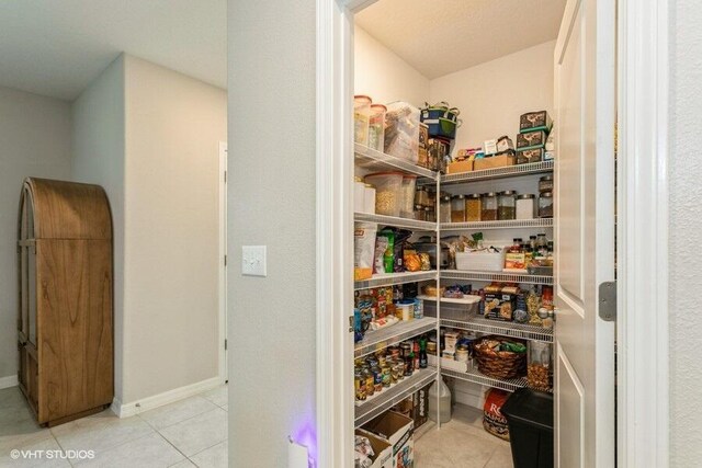 5126 Dandelion St, Apollo Beach, FL 33572 - view of pantry