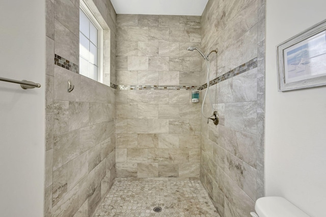 774 SE Ablett Ln, Port Saint Lucie, FL 34984 - full bath with tiled shower and toilet