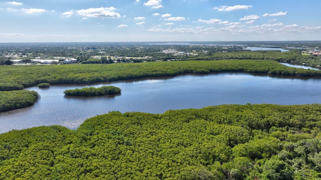 774 SE Ablett Ln, Port Saint Lucie, FL 34984 - bird's eye view of a nearby body of water and a heavily wooded area
