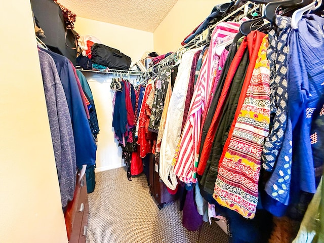 3658 Alder Dr Unit D1, West Palm Beach, FL 33417 - spacious closet featuring carpet