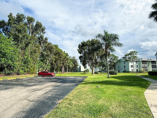 3658 Alder Dr Unit D1, West Palm Beach, FL 33417 - view of street