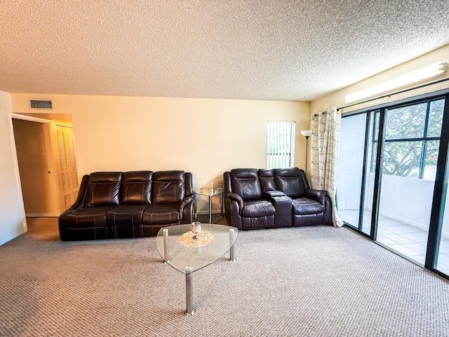 3658 Alder Dr Unit D1, West Palm Beach, FL 33417 - carpeted living room with a textured ceiling