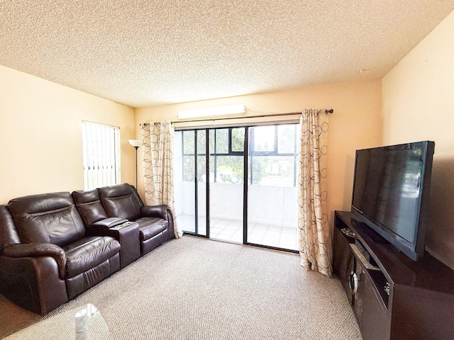 3658 Alder Dr Unit D1, West Palm Beach, FL 33417 - carpeted living room with a textured ceiling