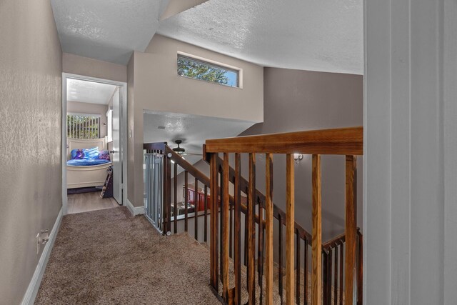 7670 NW 79th Ave Unit O3, Tamarac, FL 33321 - hallway with an upstairs landing, a textured ceiling, carpet, and healthy amount of natural light