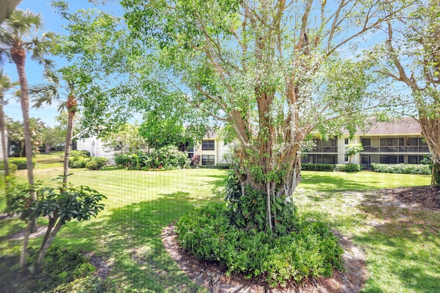 6890 Willow Wood Dr Unit 206, Boca Raton, FL 33434 - view of green lawn