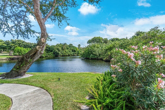 881 Elderberry Way, Boca Raton, FL 33486 - water view
