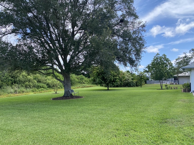 3053 SE Darien Rd, Port Saint Lucie, FL 34952 - view of green lawn