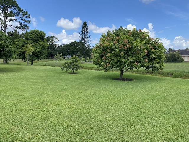 3053 SE Darien Rd, Port Saint Lucie, FL 34952 - view of grassy yard