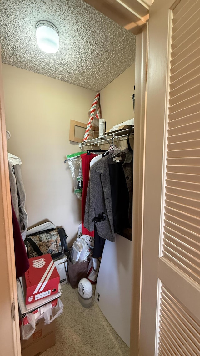 4090 Tivoli Ct Unit 303, Lake Worth, FL 33467 - walk in closet featuring carpet