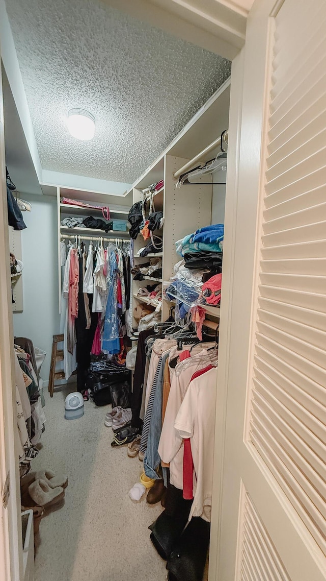 4090 Tivoli Ct Unit 303, Lake Worth, FL 33467 - view of walk in closet