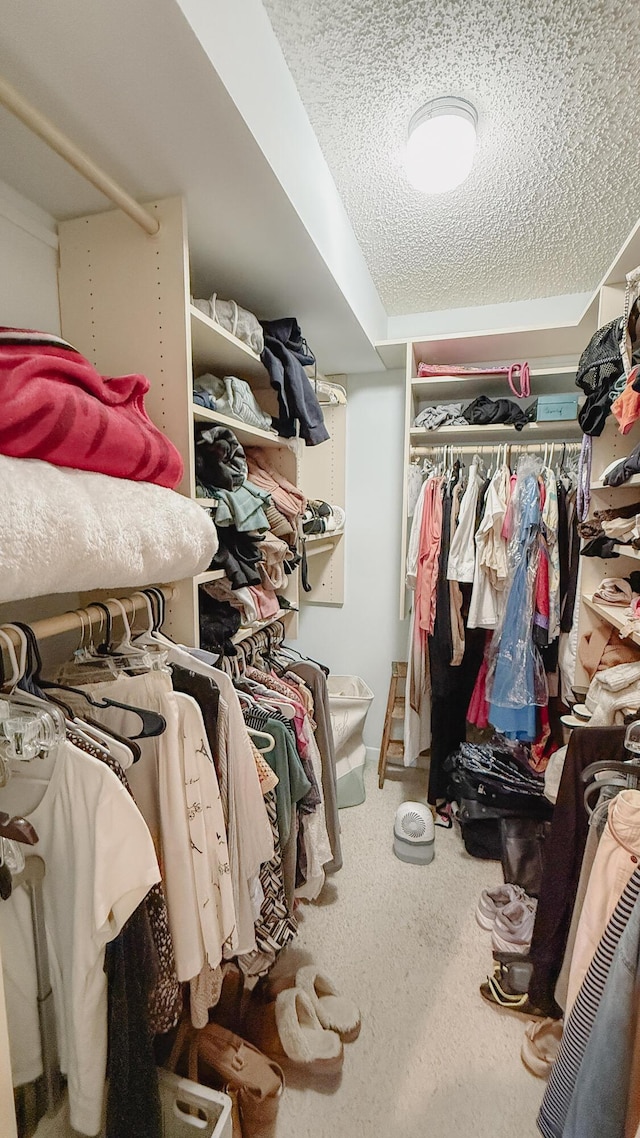 4090 Tivoli Ct Unit 303, Lake Worth, FL 33467 - spacious closet featuring carpet