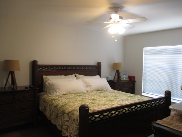 6314 Water Lilly Ln, Boynton Beach, FL 33437 - bedroom with a ceiling fan