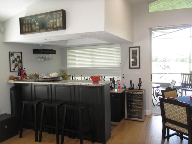 6314 Water Lilly Ln, Boynton Beach, FL 33437 - indoor dry bar with beverage cooler, light wood-style flooring, and high vaulted ceiling