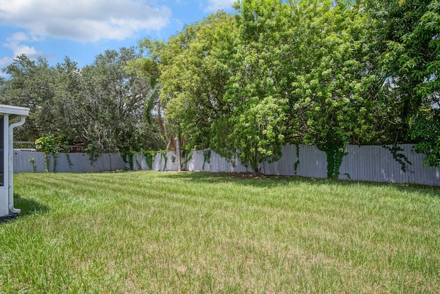 372 NE Ardsley Dr, Port Saint Lucie, FL 34983 - view of yard
