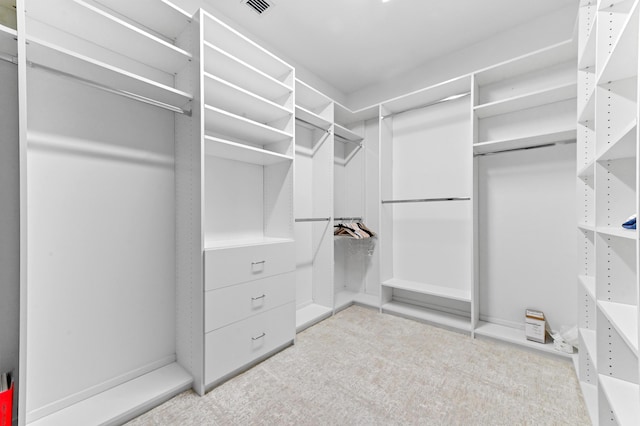 17380 Rainstream Rd, Boca Raton, FL 33496 - walk in closet with carpet