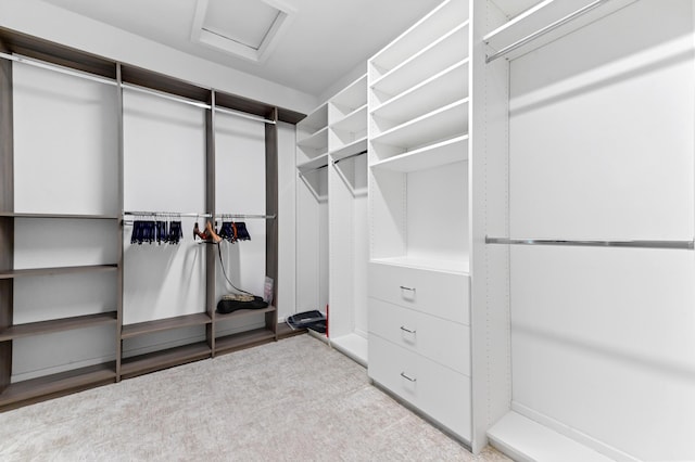 17380 Rainstream Rd, Boca Raton, FL 33496 - spacious closet with attic access and carpet flooring