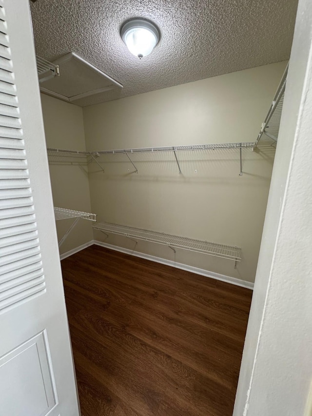 7626 Tahiti Ln Unit 204, Lake Worth, FL 33467 - walk in closet featuring wood finished floors and attic access