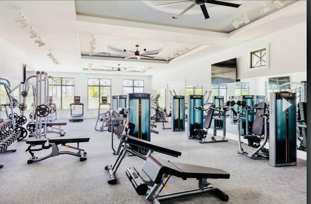 10815 Stellar Cir, Palm Beach Gardens, FL 33412 - gym with rail lighting, a tray ceiling, carpet floors, and ceiling fan