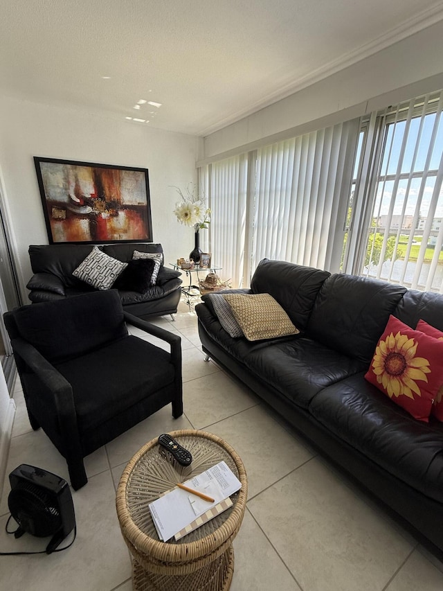 4022 Wolverton B, Boca Raton, FL 33434 - living room with healthy amount of natural light and ornamental molding