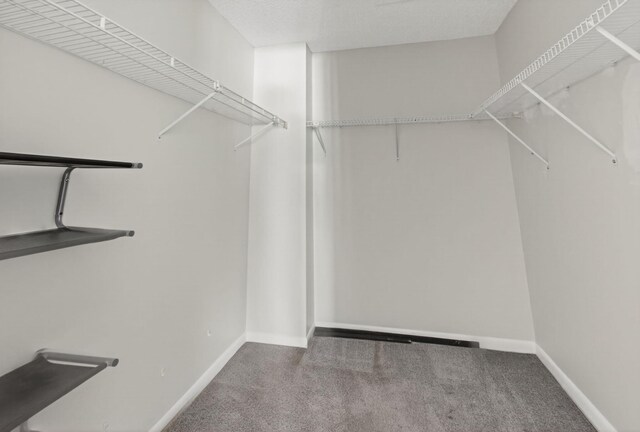 400 Club Cir Unit 201, Boca Raton, FL 33487 - walk in closet featuring carpet flooring