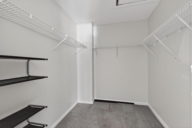 400 Club Cir Unit 201, Boca Raton, FL 33487 - walk in closet with carpet