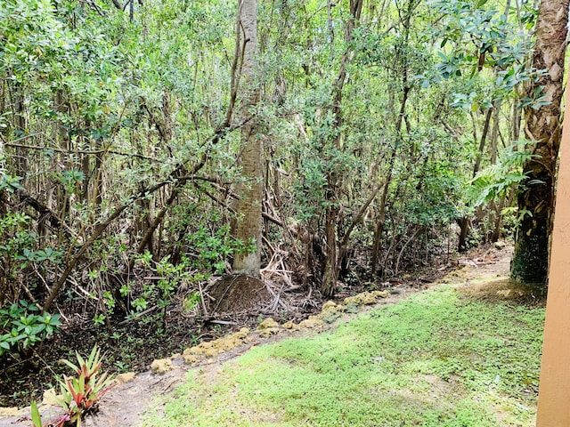 1100 Scotia Dr Unit 102, Hypoluxo, FL 33462 - view of yard