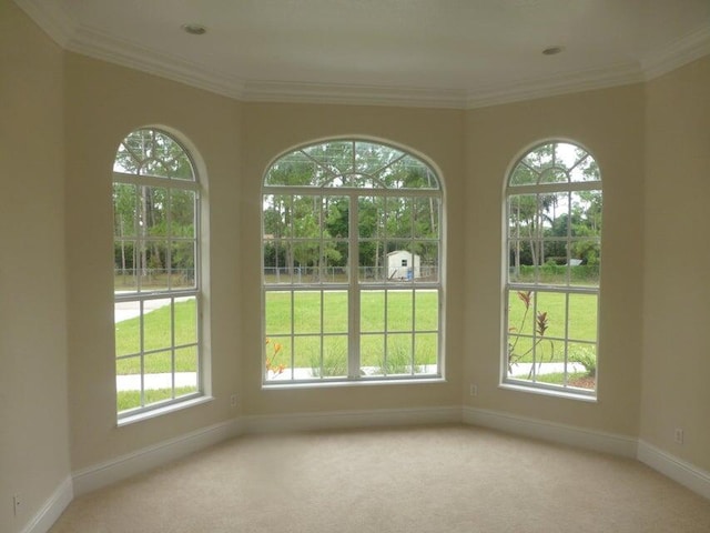 17183 80th St N, The Acreage, FL 33470 - spare room with healthy amount of natural light, light colored carpet, and ornamental molding