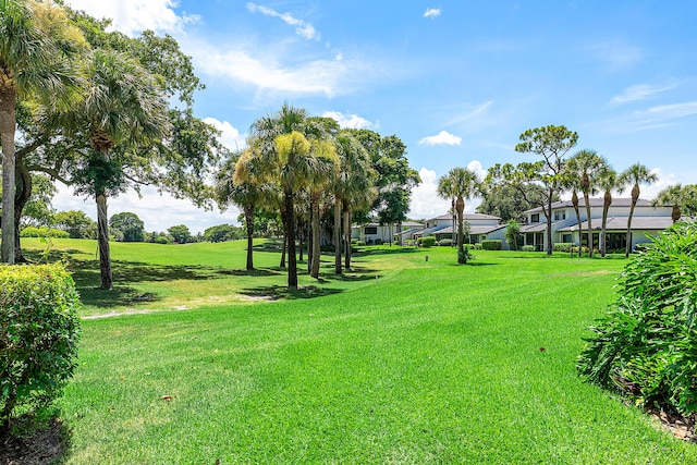 20 Southport Ln Unit D, Boynton Beach, FL 33436 - view of green lawn