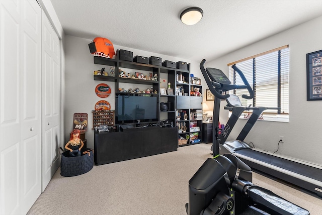 19335 Skyridge Cir, Boca Raton, FL 33498 - exercise area with carpet flooring and a textured ceiling