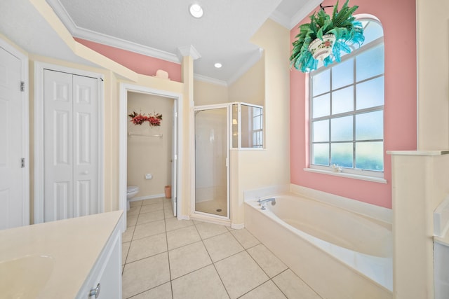 1104 SE Strathmore Dr, Port Saint Lucie, FL 34952 - full bathroom with a closet, a stall shower, a garden tub, vanity, and crown molding