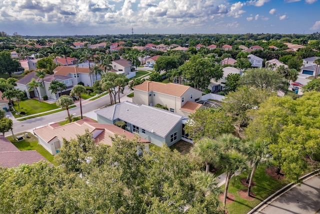 8008 Red Reef Ln, Boynton Beach, FL 33436 - aerial perspective of suburban area