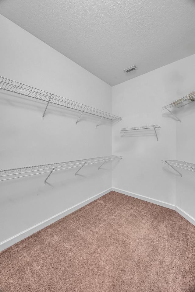 511 SW Treasure Cv, Port Saint Lucie, FL 34986 - spacious closet with carpet floors